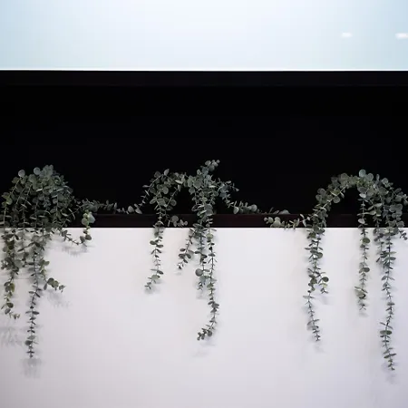 Via Morghen 63 Apartamento