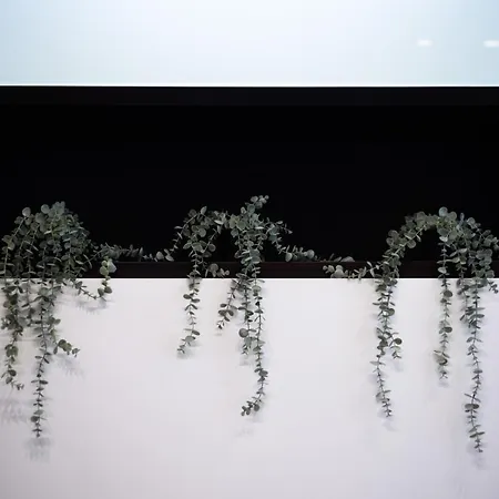 Daire Via Morghen 63 Napoli